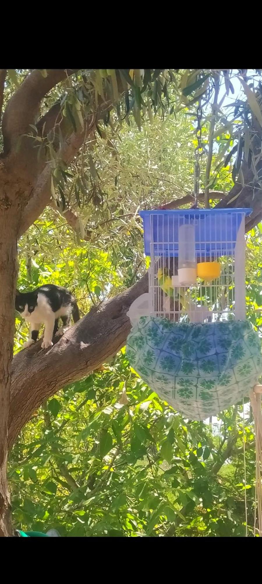Villa View Διαμερισμα Loukissia Esterno foto